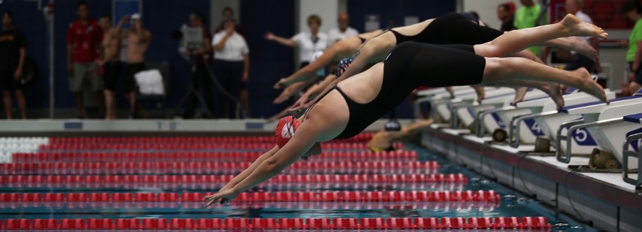 image plongeon nageuses