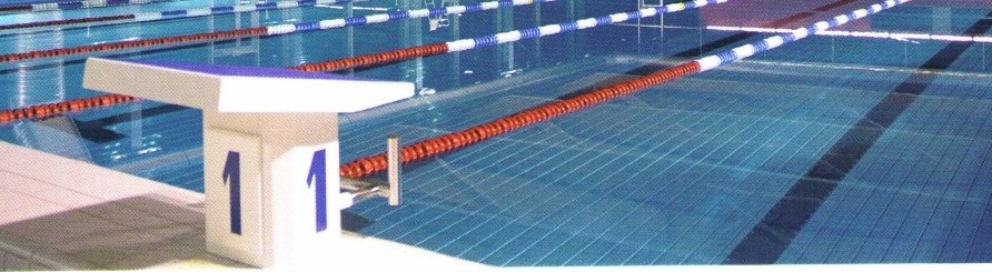 Calendrier Natation Cercle Des Nageurs Yverdon